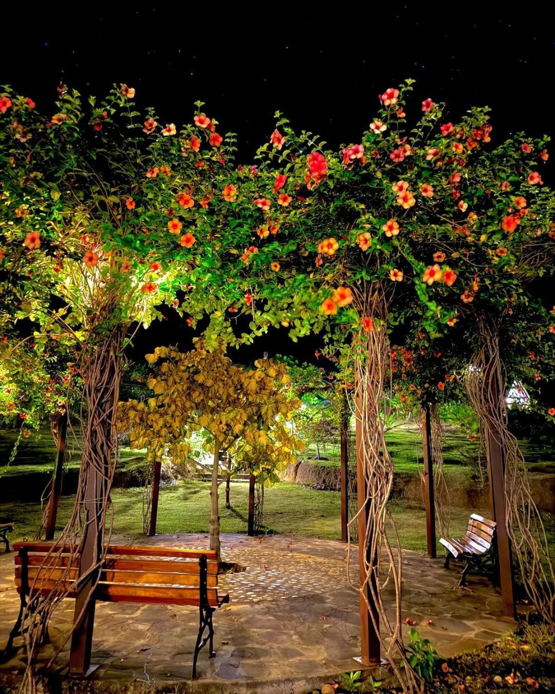 El Resort De Yanashpa - ตาราโปโต ภายนอก รูปภาพ