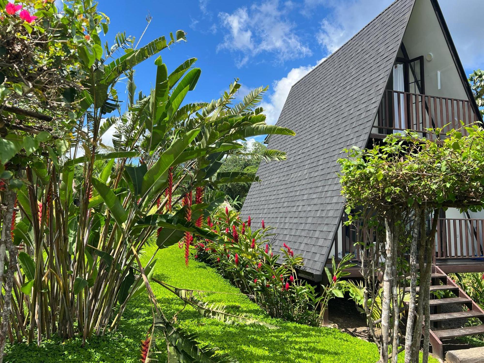 El Resort De Yanashpa - ตาราโปโต ห้อง รูปภาพ